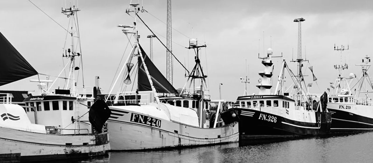 Fiskekuttere